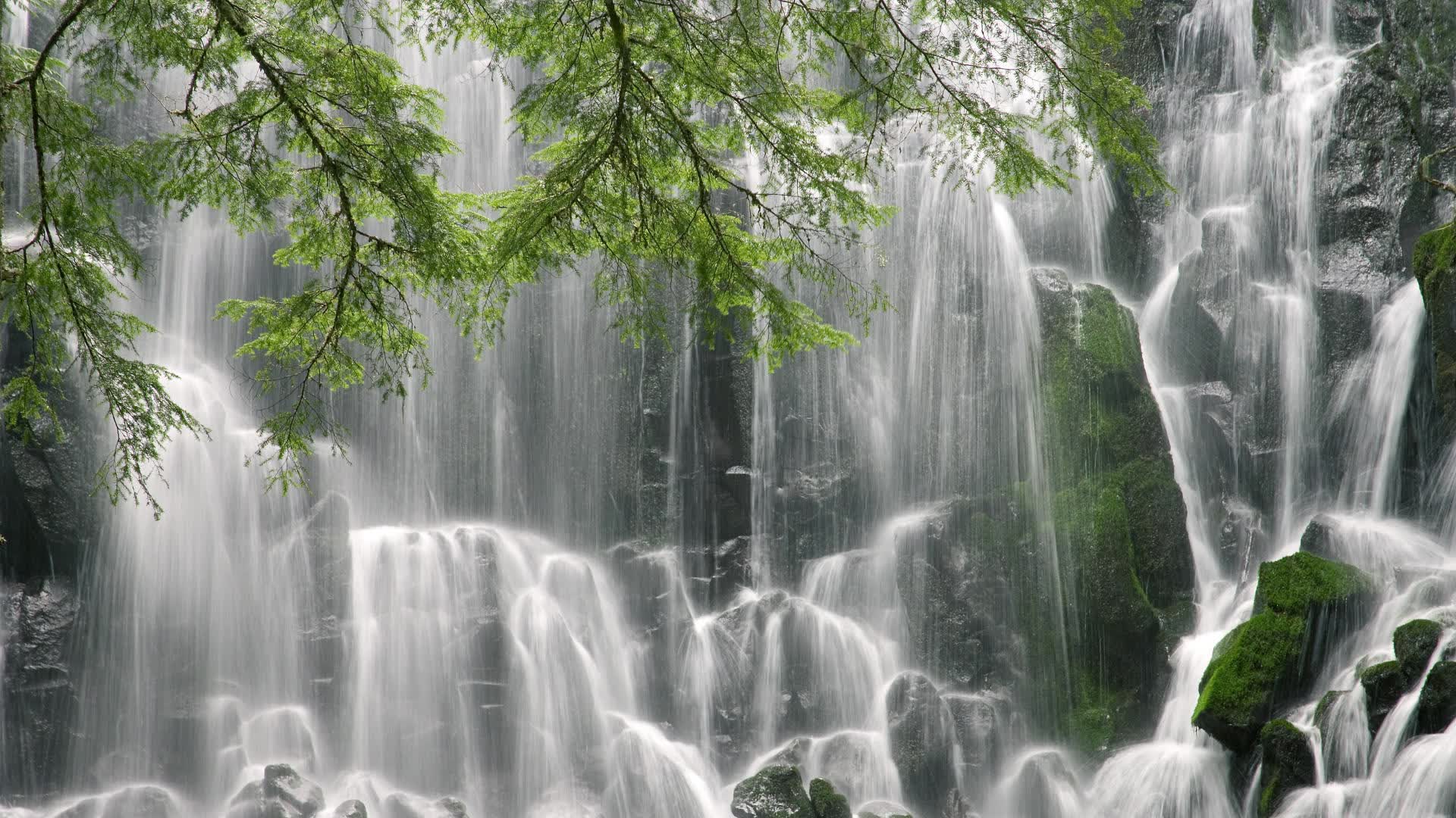 10月亚太锦标赛成生死战，中国棍网球力争世锦赛入场券，亚洲顶级网球赛事